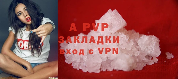 сатива Карпинск