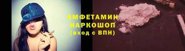 сатива Карпинск