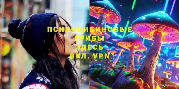 сатива Карпинск