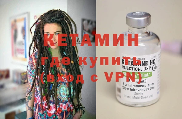 сатива Карпинск