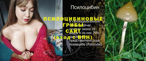 сатива Карпинск