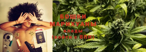 сатива Карпинск